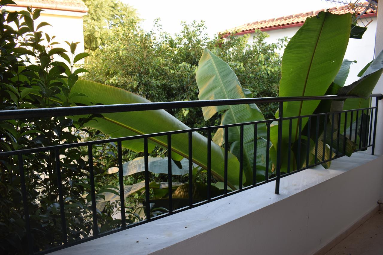 Akti Panela Beach Hotel Kávos Dış mekan fotoğraf